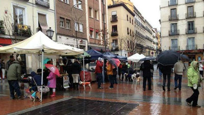 Alfombra rosa para perros adoptados en la plaza de Chueca