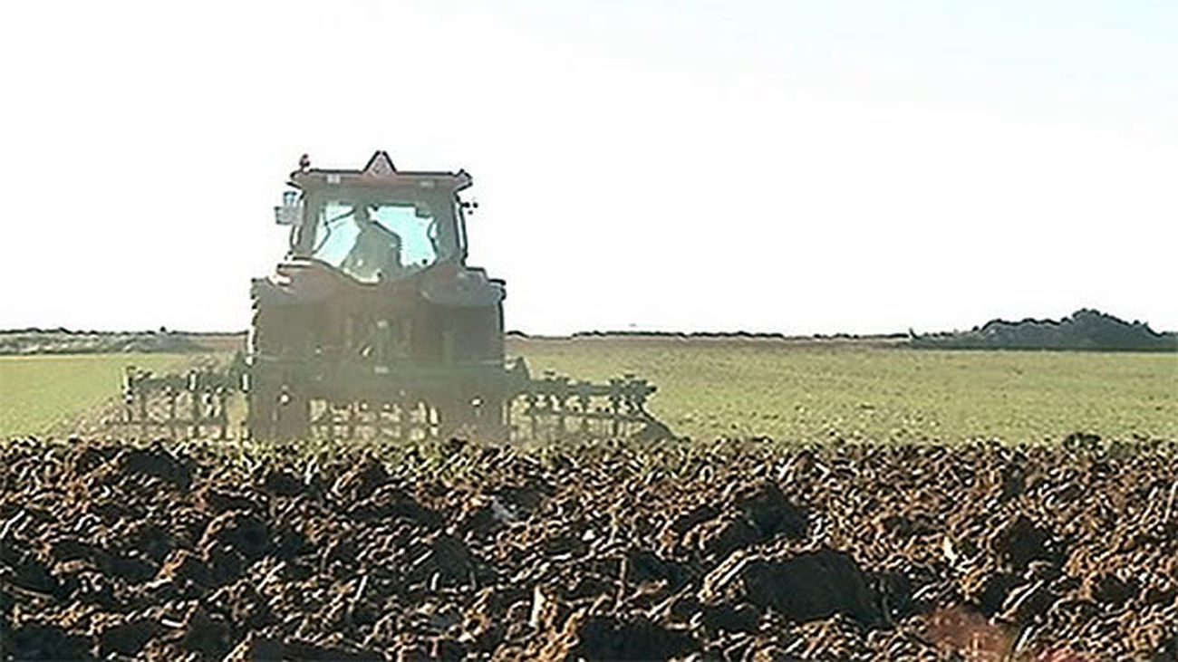La Comunidad concederá ayudas este año para impulsar y promocionar la actividad agraria en la región