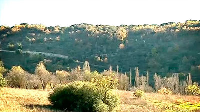 Olmeda de las Fuentes: Valmores, el origen