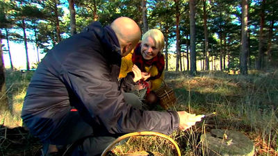 El Encantador de Setas: En busca de capuchinas en Riaza