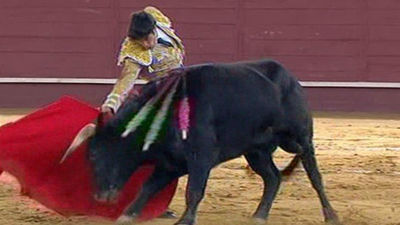 Martín Escudero y Borja Jiménez cortan oreja en la novillada de Valdemorillo