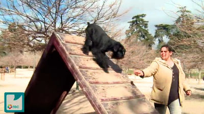 Haztutele: Programa 8