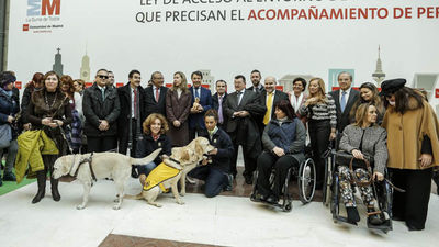 Los perros guía podrán entrar a todos los espacios públicos en Madrid