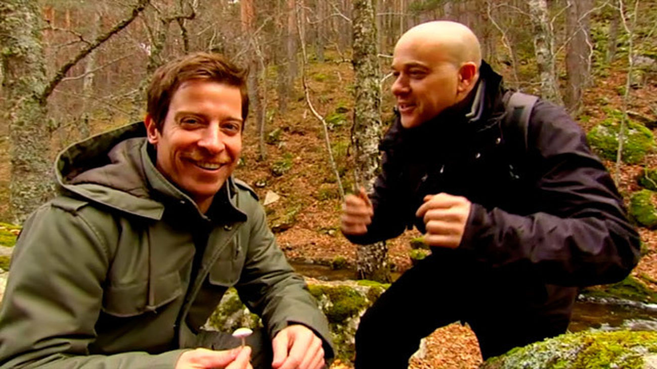 El boletus pinícola en el puerto de Canencia