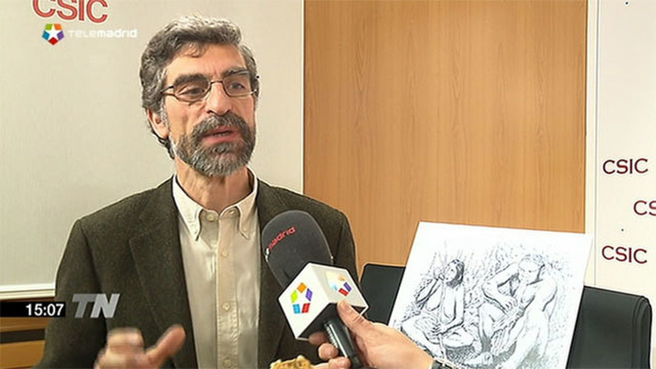 Los Neandertales ya se repartían las tareas según el sexo