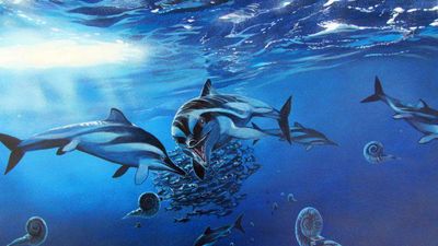 Un fósil almacenado en un museo inglés es una nueva especie de ictiosauro