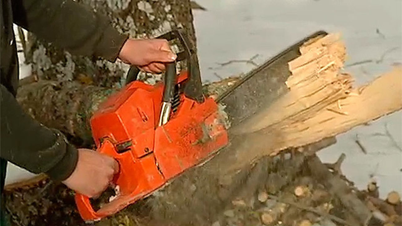 Villavieja del Lozoya: labores de poda y tala en pleno invierno