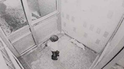 Un niño de tres años muere congelado en Canadá tras escaparse de casa