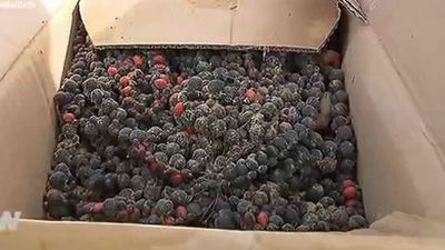 La Comunidad destruye 120.000 productos no aptos para el consumo