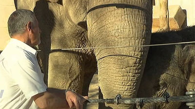 Mario, el cuidador del Zoo más veterano, se jubila