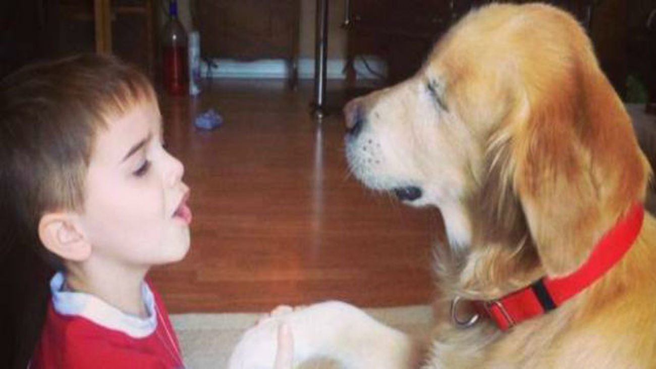 Smiley, el perro ciego terapeuta