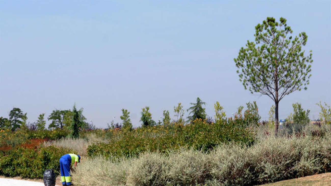 Parque de Valdebebas