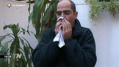 Primavera 'moderada' para los alérgicos al polen en el centro peninsular