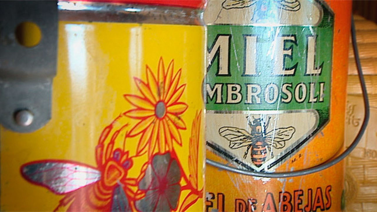 Hoyo de Manzanares: el aula apícola Sierra de Hoyo