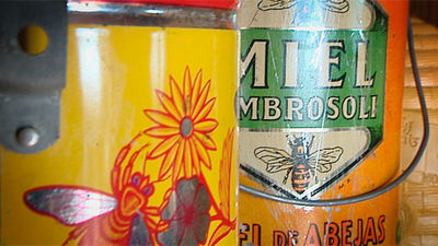 Hoyo de Manzanares: el aula apícola Sierra de Hoyo