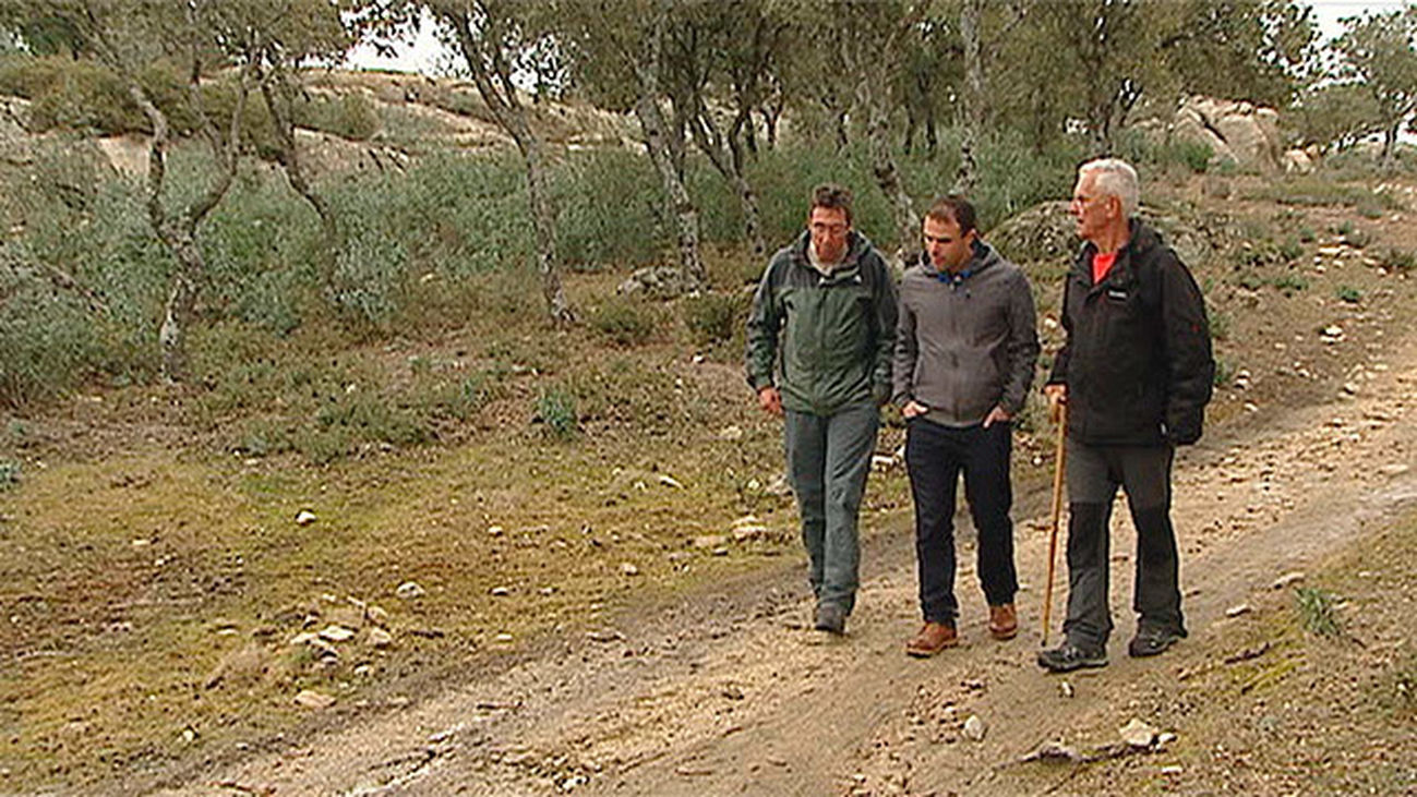Hoyo de Manzanares: un entorno de monte, humedales y canteras de granito