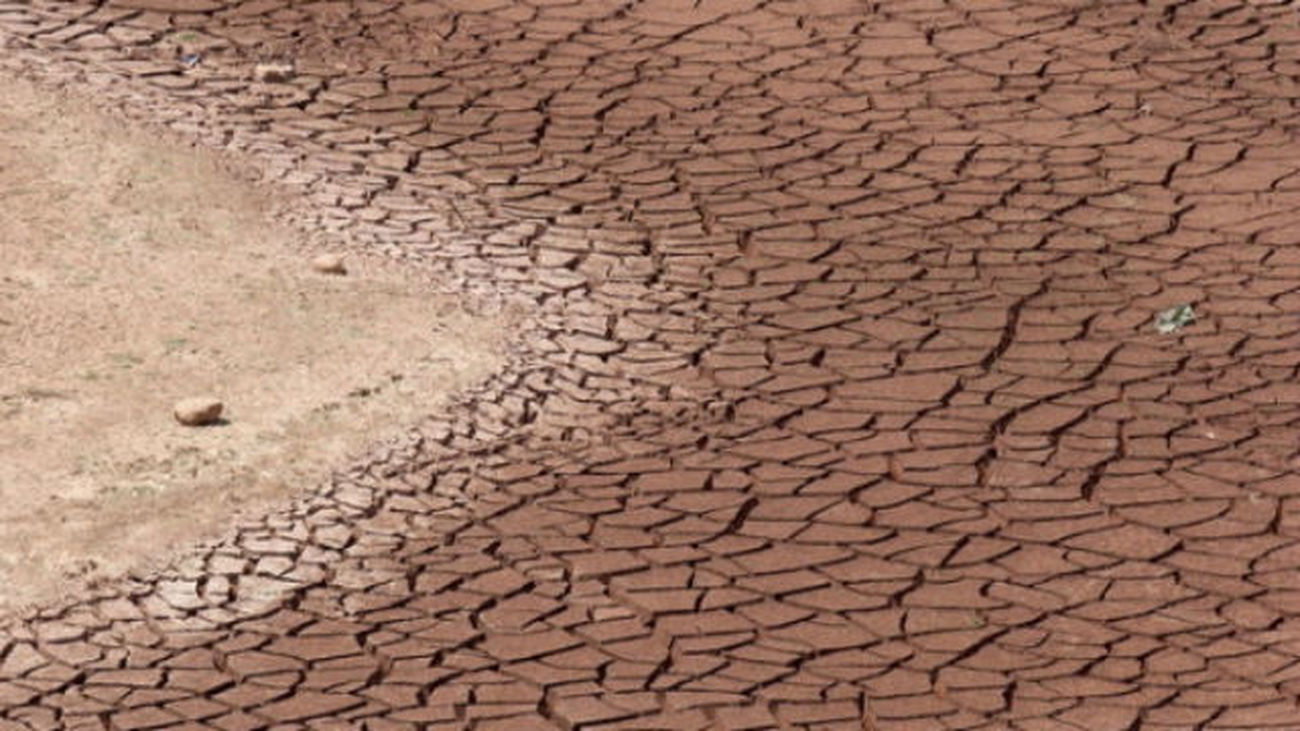 La Rey Juan Carlos de Madrid lidera un estudio para frenar la desertización