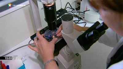 El Gobierno destina 730 millones de euros a la I+D+i