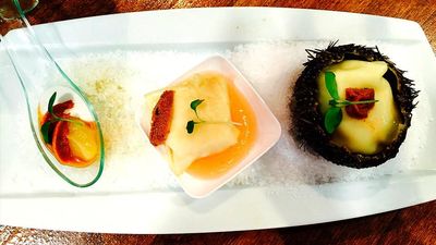 Cómo cocinar el erizo de mar