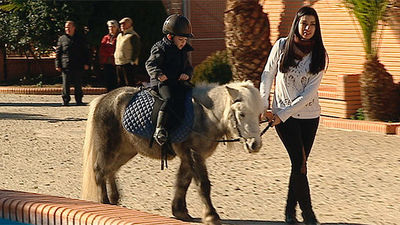 Griñón: Real Hípica, una de las principales escuelas ecuestres de Madrid