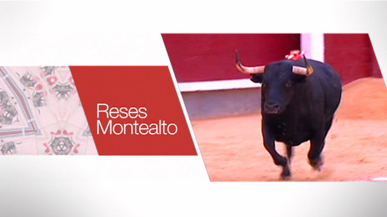Toros desde las Ventas