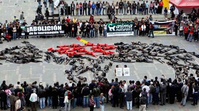 Cómo se financian los antitaurinos