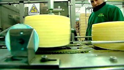 Campo Real: El queso, un manjar 100% madrileño