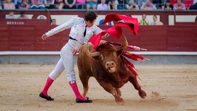 Primera de feria: Oreja para Juan del Álamo en presencia del rey