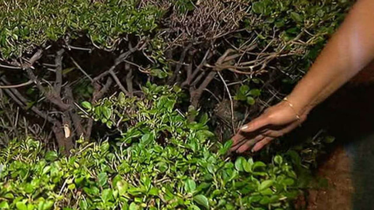 Un niño de un año salva la vida tras caer de un séptimo piso en Fuenlabrada