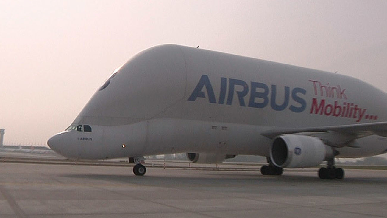 El Beluga, una "ballena con alas"