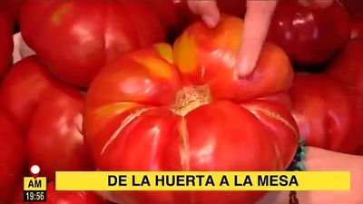De la huerta a la mesa, en pleno corazón de Madrid