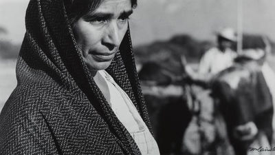 La diversidad de la fotografía latinoamericana desembarca en PhotoEspaña 2015