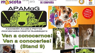 'Madrid 100x100 ADOPTA' promueve la adopción responsable