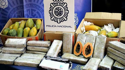 La policía se incauta de 32 kilos de cocaína ocultos en un cargamento de papayas