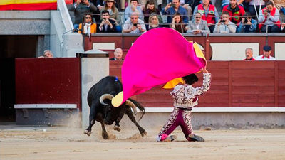 Corrida de la Prensa sin trapío