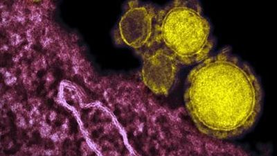 El nuevo coronavirus causa las dos primeras muertes en Corea del Sur