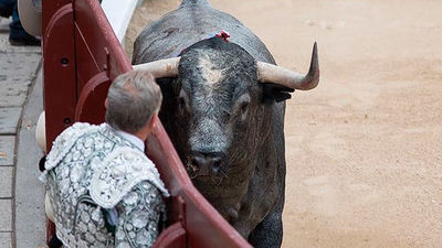 24ª de feria: Toros bonitos, pero sólo una faena