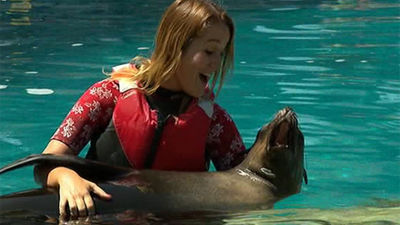 Faunia comienza una nueva temporada de baños con osos marino