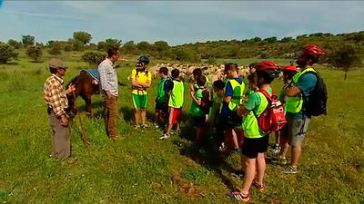 Brea de Tajo: Una forma diferente de ir al colegio