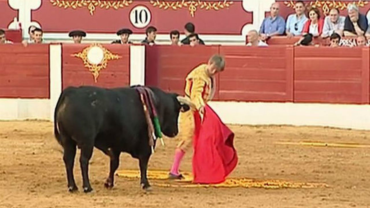 Toros en Torrejón