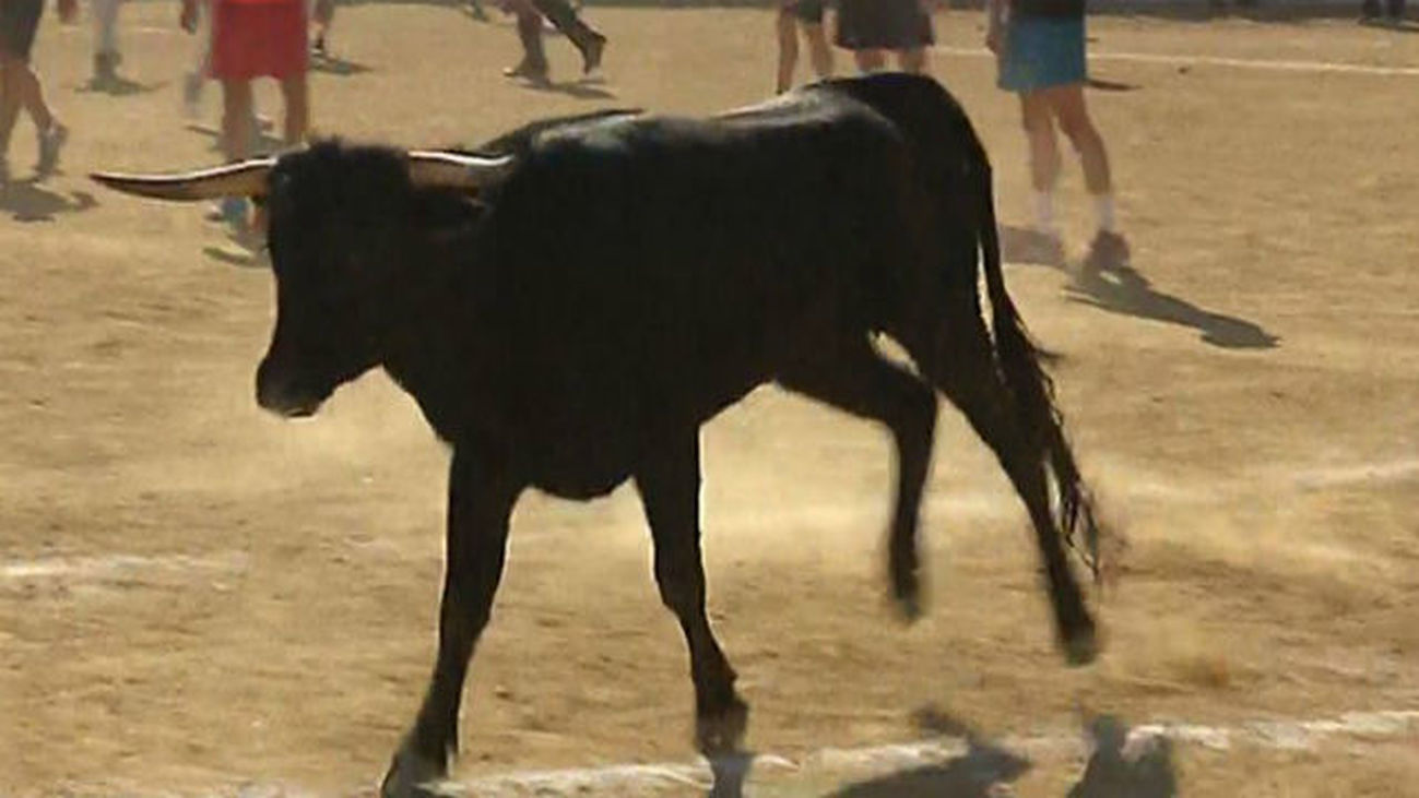 Encierros en Torrejón