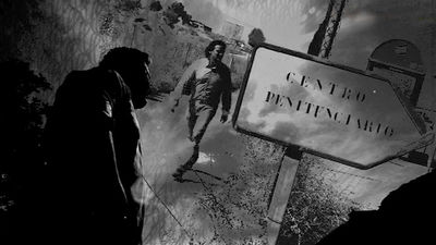 Ciudadano Cake: Al límite de la ley