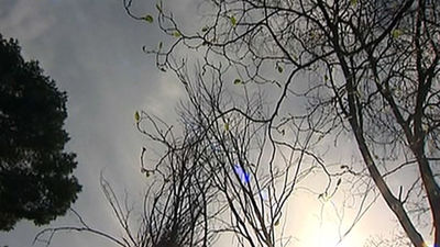 La finca Quinta Torre Arias abre sus puertas a los vecinos