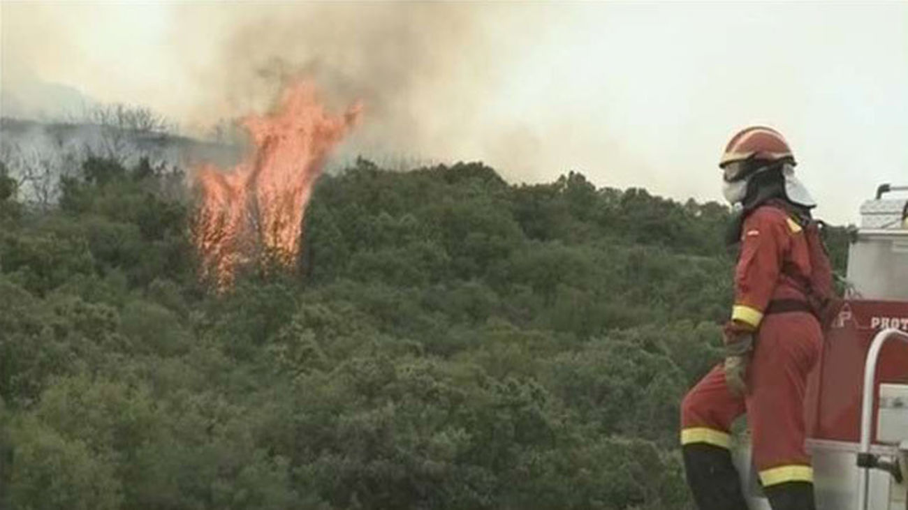 Incendios forestales