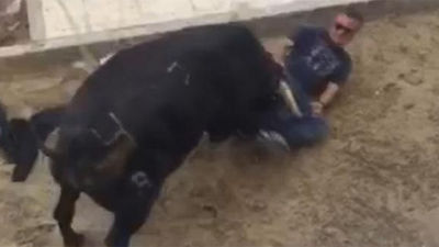 Muere un hombre tras sufrir una cogida por un toro en Castellón