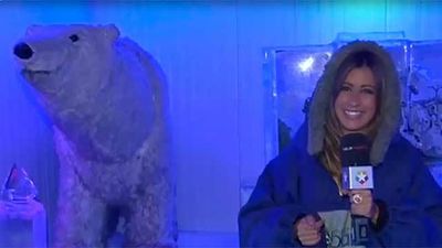 Ice Bar Madrid, un auténtico iglú en pleno centro de Madrid