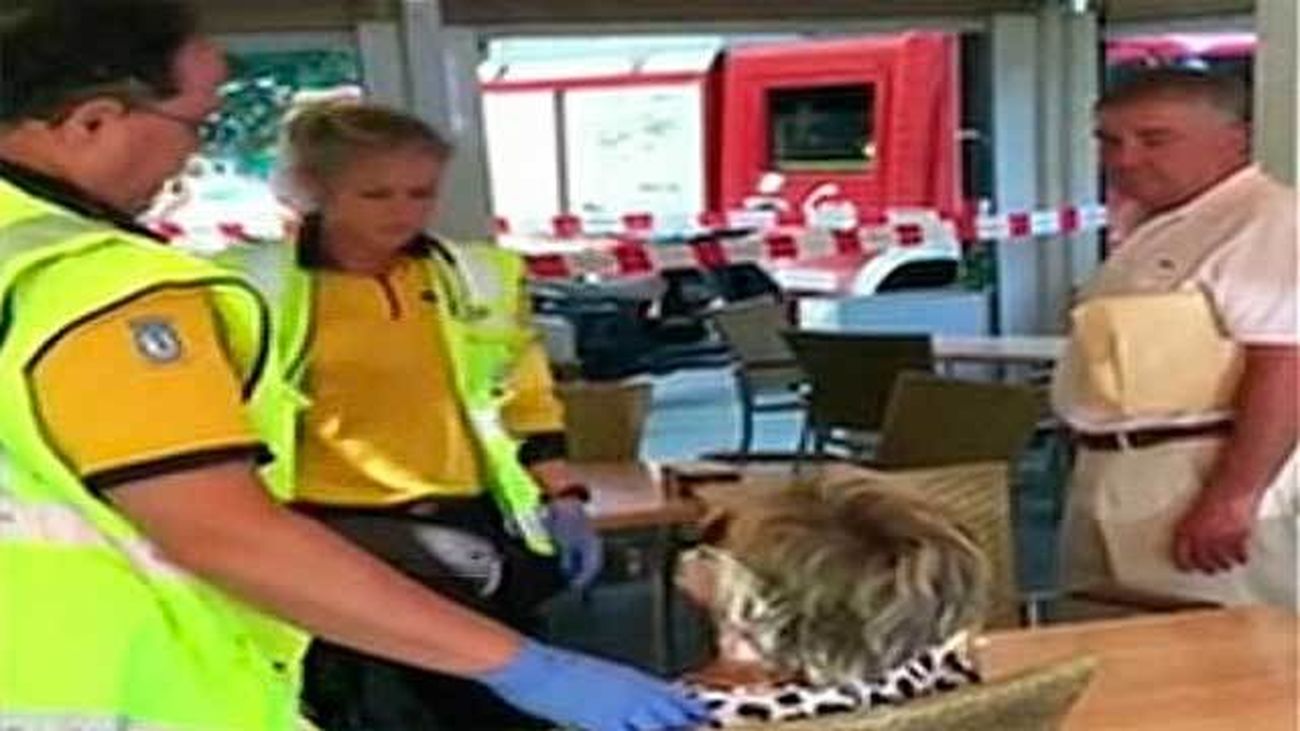 Una mujer herida leve al caerle encima una rama de un árbol en la calle Santa Engracia