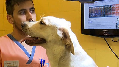 Atribuyen al cambio climático la intensidad de la ola de calor