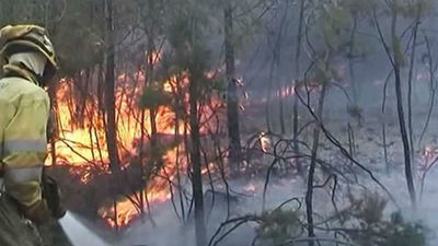 Regresan todos los desalojados por el incendio de Gualchos (Granada)
