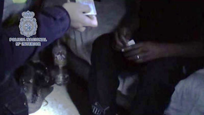 La Policía detiene a 18 pandilleros de los Dominican Don`t Play, en Prosperidad